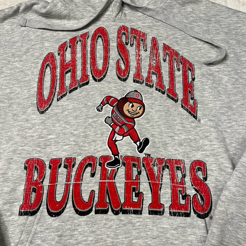 OHIO STATE BUCKEYES Hoodie Sweatshirt Goody Two Sleeves Brutus Patch Mens L NCAA - Picture 2 of 6